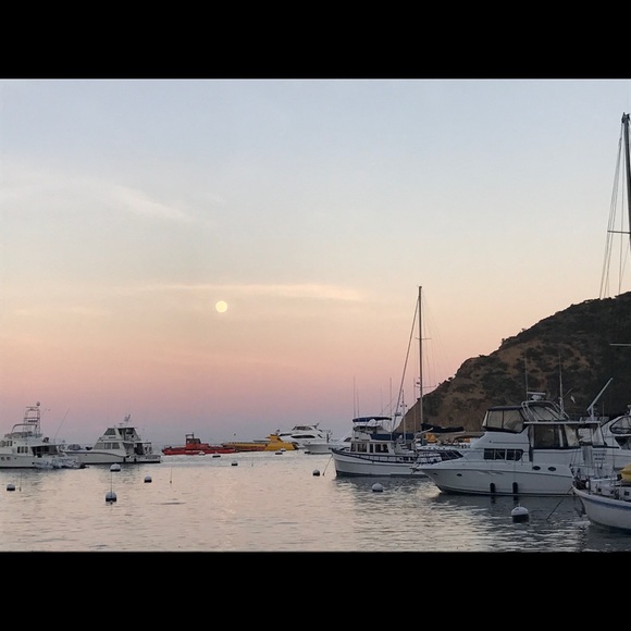 Meet your Posher, Jane - Picture 4 of 6